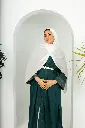 245.webp