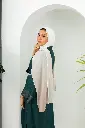 244.webp